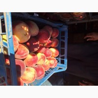 Продам персик