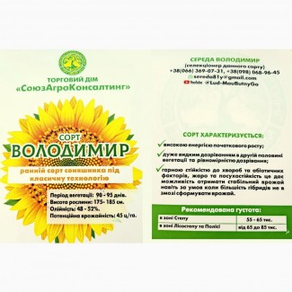 Насіння соняшника “Володимир”, 90-95 днів, стандарт