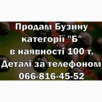 Реалізую Бузину категорії Б. Сировина власної заготывлі