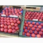 Продам польские яблоки премиум класса