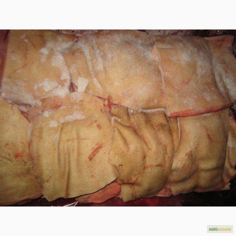 Фото 2. Баки свинячі (щоковина) в шкірі, без шкіри; трикутник, лодка