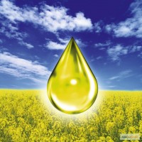 Рапсовое масло на биодизель