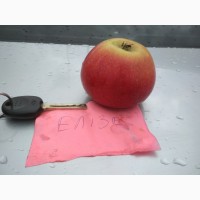 Частное фермерское хозяйство ООО Грин Голд продает яблоки