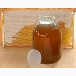 Продам мед і пилок