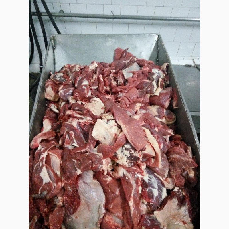 Фото 2. Продам блочную говядину (ГОСТ), вырезку, субпродукты