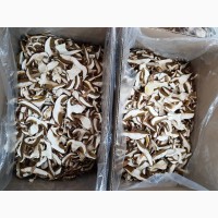 Купить сушеные белые грибы