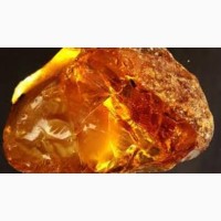 Бальзам «ЯХвА» 4 - antitumor amber (противоопухолевый с янтарем) 110мл