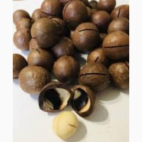 Орех макадамия в скорлупе, 1кг, орехи оптом в розницу