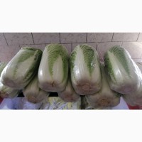 Продам пекинскую капусту