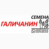 Ячмень Галичанин, элитные семена от производителя урожая 2020, документы