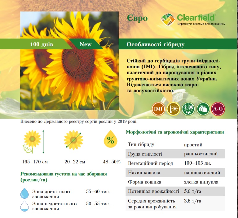Фото 3. На посівну 2021 року насіння соняшника та кукурудзи за доступними цінами