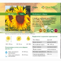 На посівну 2021 року насіння соняшника та кукурудзи за доступними цінами