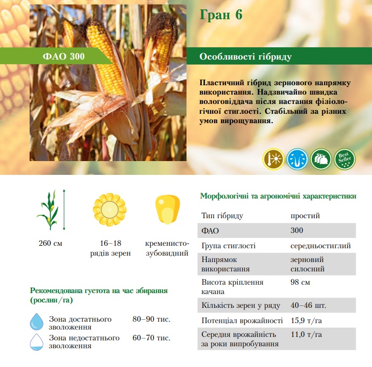 Фото 5. На посівну 2021 року насіння соняшника та кукурудзи за доступними цінами