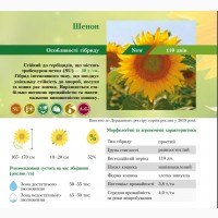 На посівну 2021 року насіння соняшника та кукурудзи за доступними цінами
