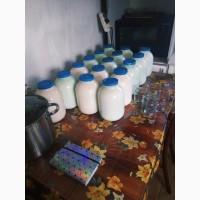 Продам Домашнее Коровье молоко