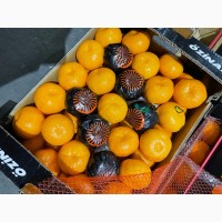 Продам мандарин сацума фирмы Озинан( Турция, Измир)