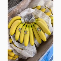 Продам бананы, ананасы и другую продукцию от поставщика с Коста Рики с 20 тонн