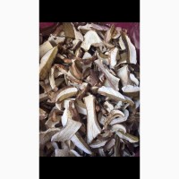 Білі гриби сушені