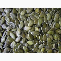 Продам насіння гарбуза голонасінного «Штирийського»