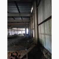 Ангар балочний під склад або виробничий цех. Площею:1500м.кв