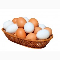 Яйце куряче С2
