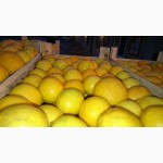 Лимон Оптом Одесса Цитрусовые