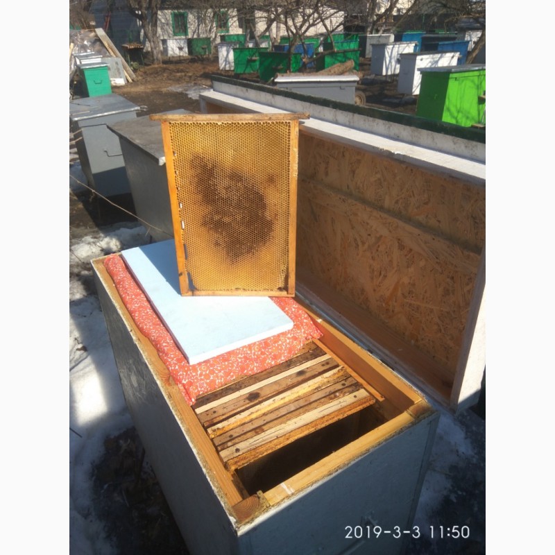 Фото 3. Продам укомплектованные пчелосемьи, улья украинка термоса.Состояние идеальное, улья новые
