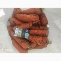 Продам морковь высокого качества