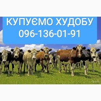Куплю худобу у Черкаській області
