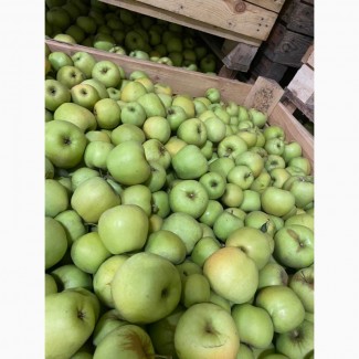 Продаємо яблука таких сортів Голден, Ред Делішес, Фуджі, Грені Смітт