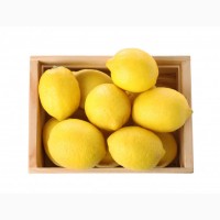 Продам Лимон
