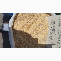 Продам крупы пшеничную, кукурузную