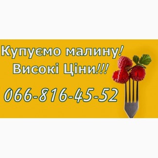 На постійній основі закуповую свіжу малину від населення та заготувачів