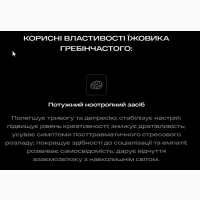 Ежовік гребінчастий плодове тіло з міцелієм. Перша Україньска Грибна Ферма