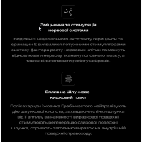 Ежовік гребінчастий плодове тіло з міцелієм. Перша Україньска Грибна Ферма