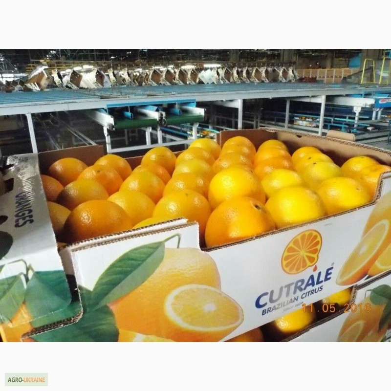 Предлагаем лимон, апельсин из Аргентины