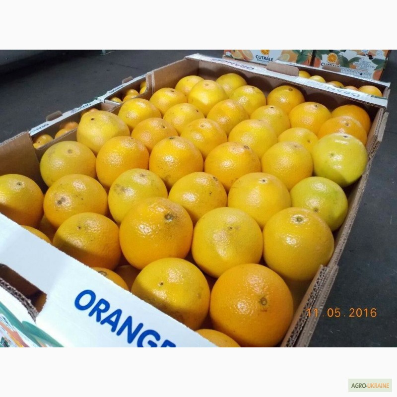 Фото 2. Предлагаем лимон, апельсин из Аргентины