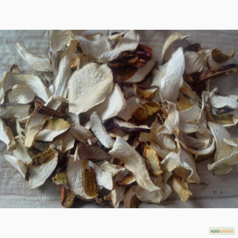 Фото 3. Сухі білі гриби (відмінна якість)