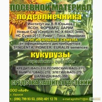 Посевной материал украинский гибрид кукурузы Розовский фао-311