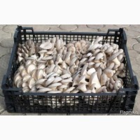 Купим грибы свежие, консервированные, соленые, маринованные все сорта