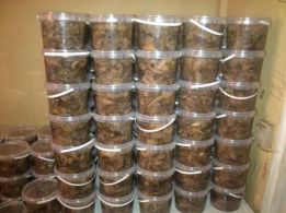 Фото 2. Купим грибы свежие, консервированные, соленые, маринованные все сорта