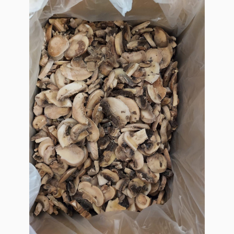Фото 7. Купим грибы свежие, консервированные, соленые, маринованные все сорта
