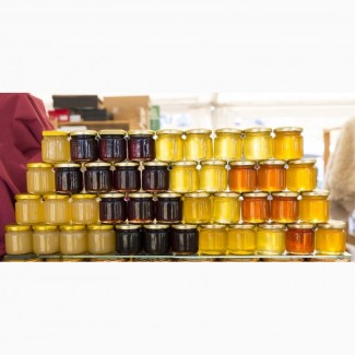 Компанія прямий експортер, купує соняшниковый мед ДОРОГО