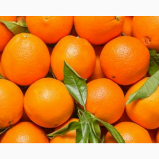 Апельсины валенсия