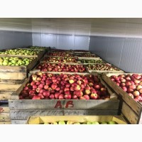 Продам якісні яблука з холодильника, смарт фреш