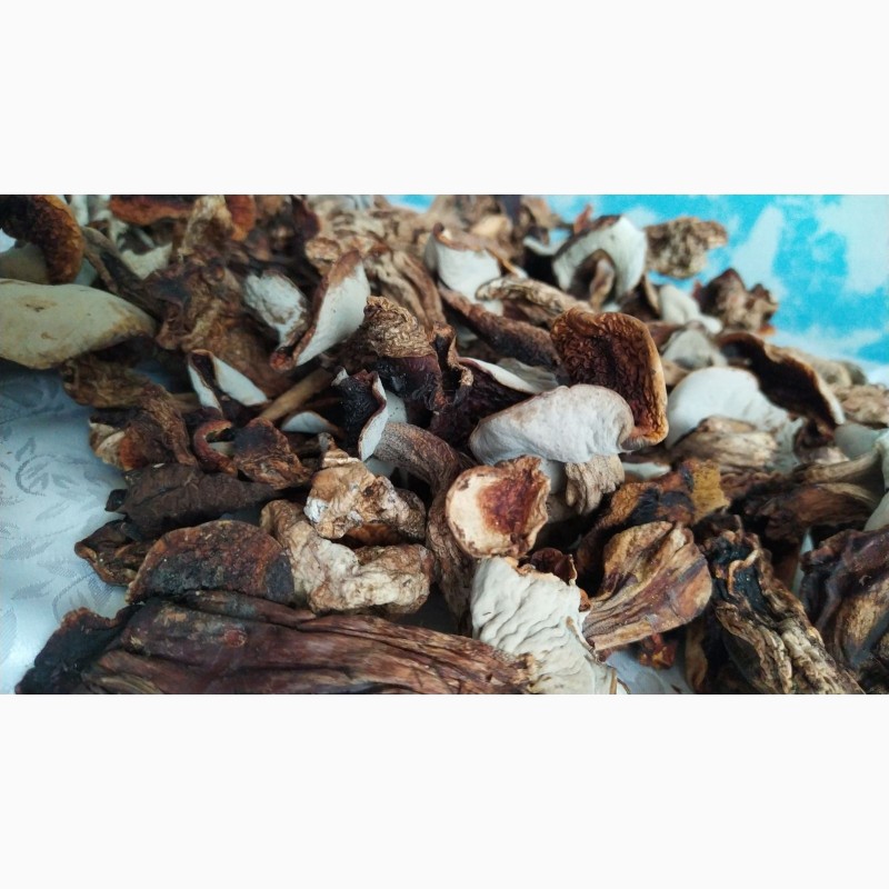 Фото 5. Сушені гриби з печі