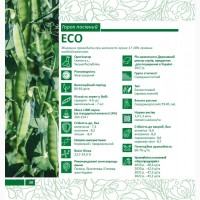 Пропонуємо насіння жовтозерного гороху ЕСО (СН-1)