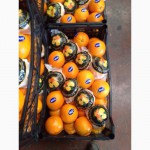 Продаем Овощи/Фрукты Турция