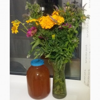Продам квітковий мед 2018