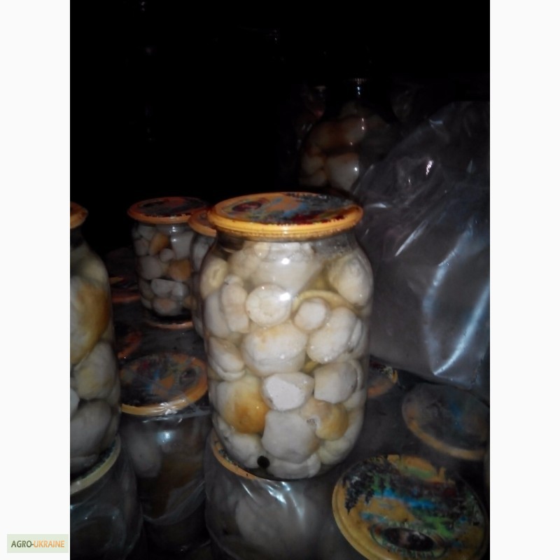Фото 2. Продам маринований білий гриб
